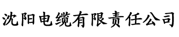 免费无码午夜福利电影电缆厂logo